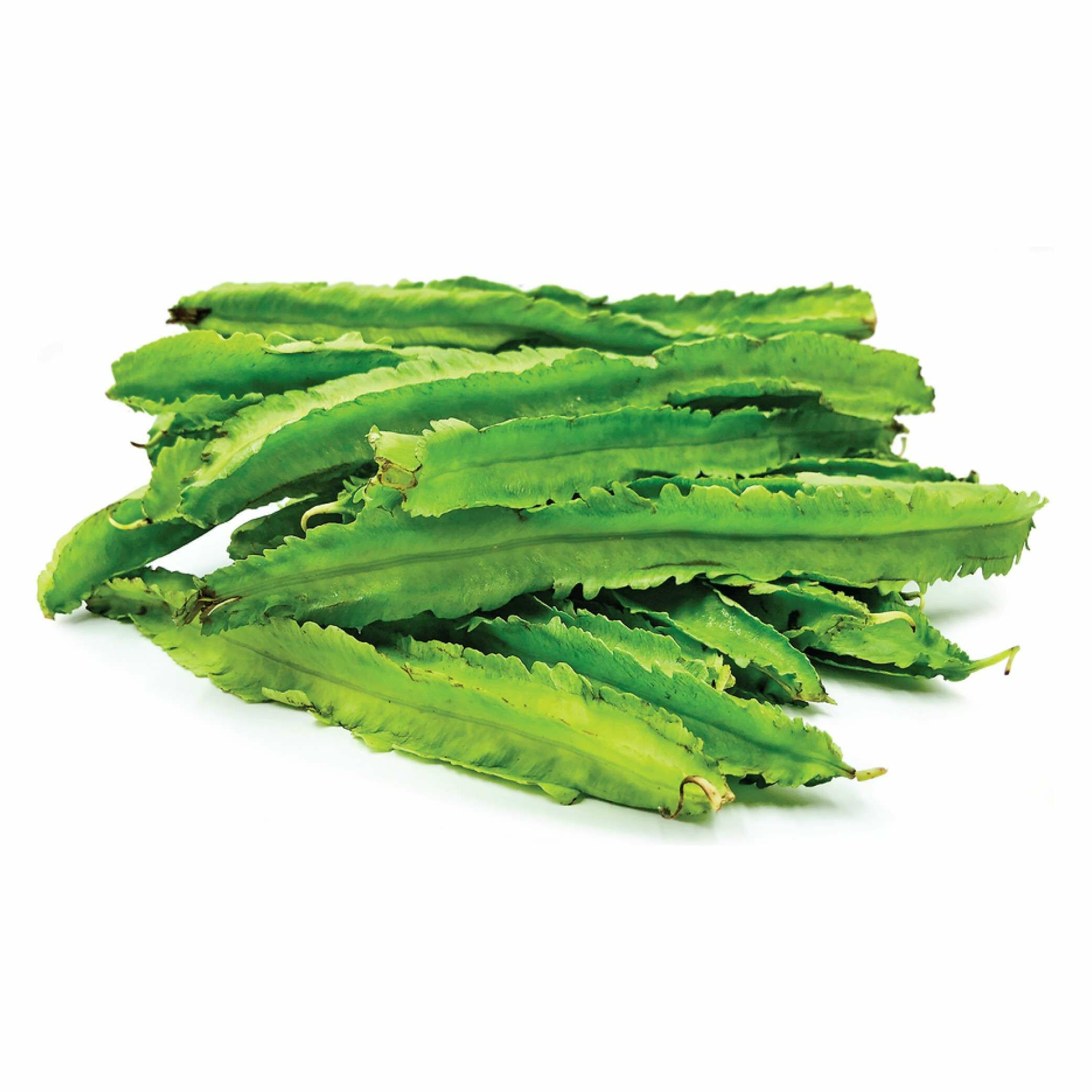 4 angled bean
