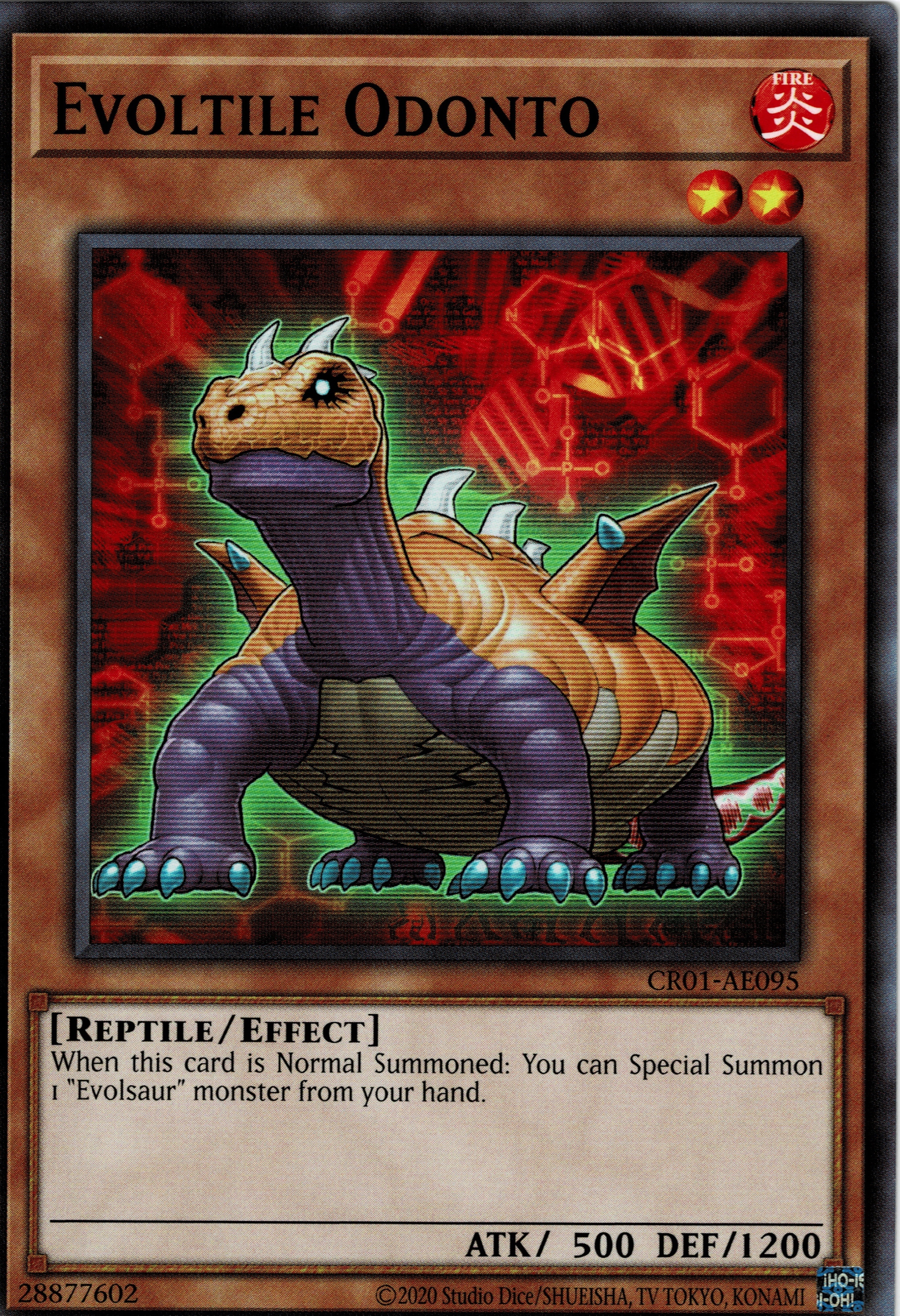 CR01-AE095 Evoltile Odonto