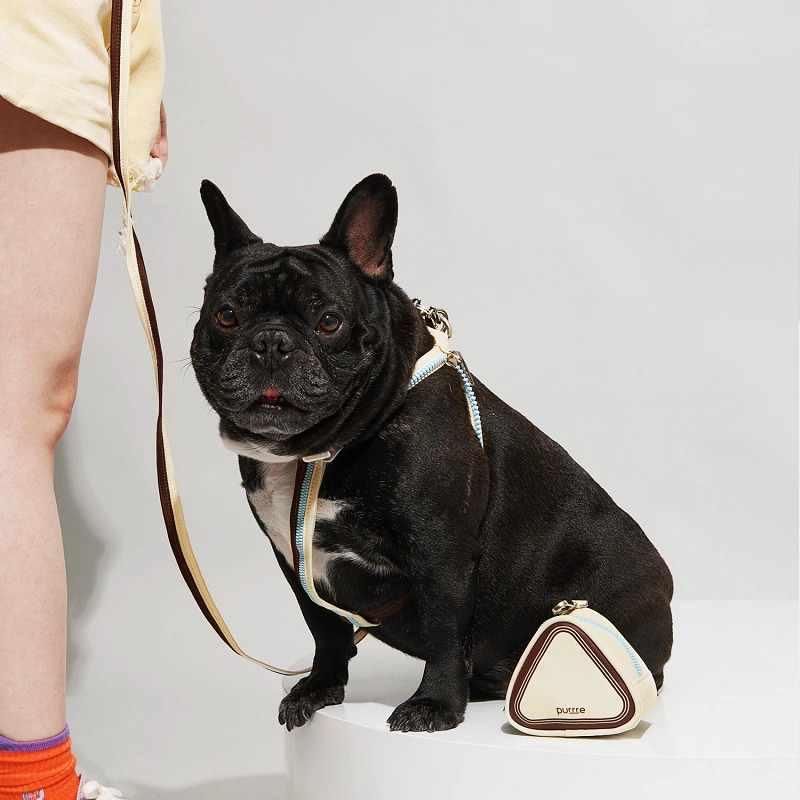 Purrre | Y字型胸背帶 兩用牽繩套裝