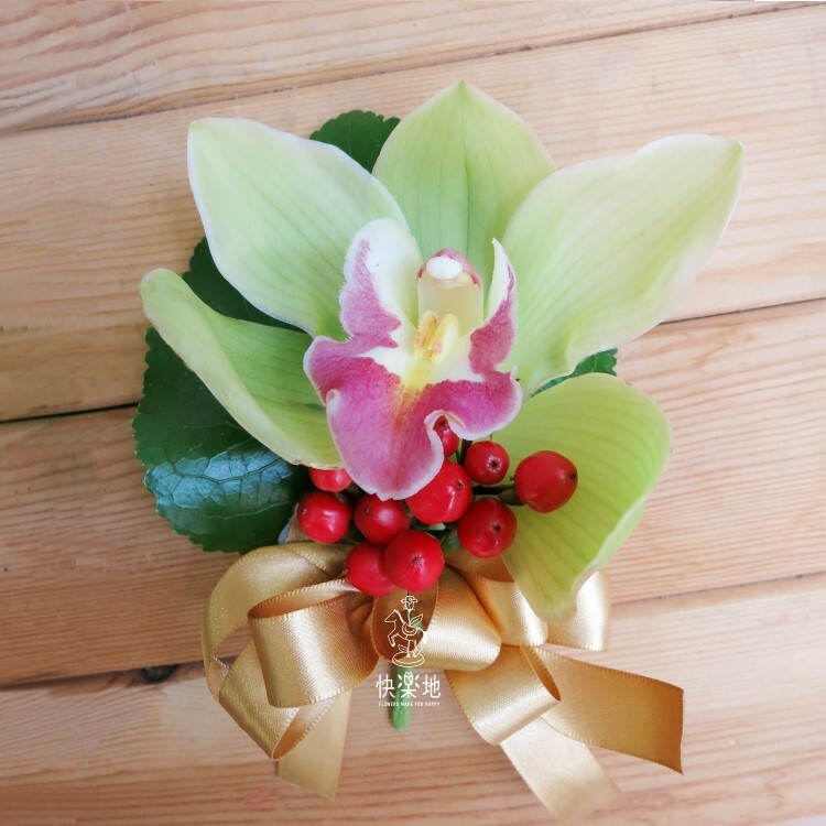 馡綠✵東亞蘭胸花  AF231200