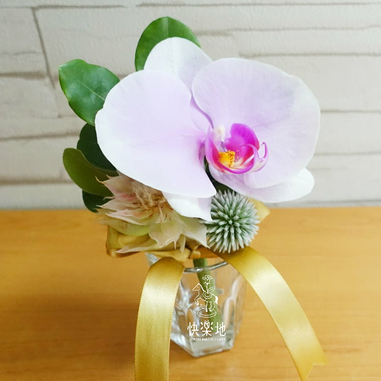 暖日✵蝴蝶蘭胸花  AF231201