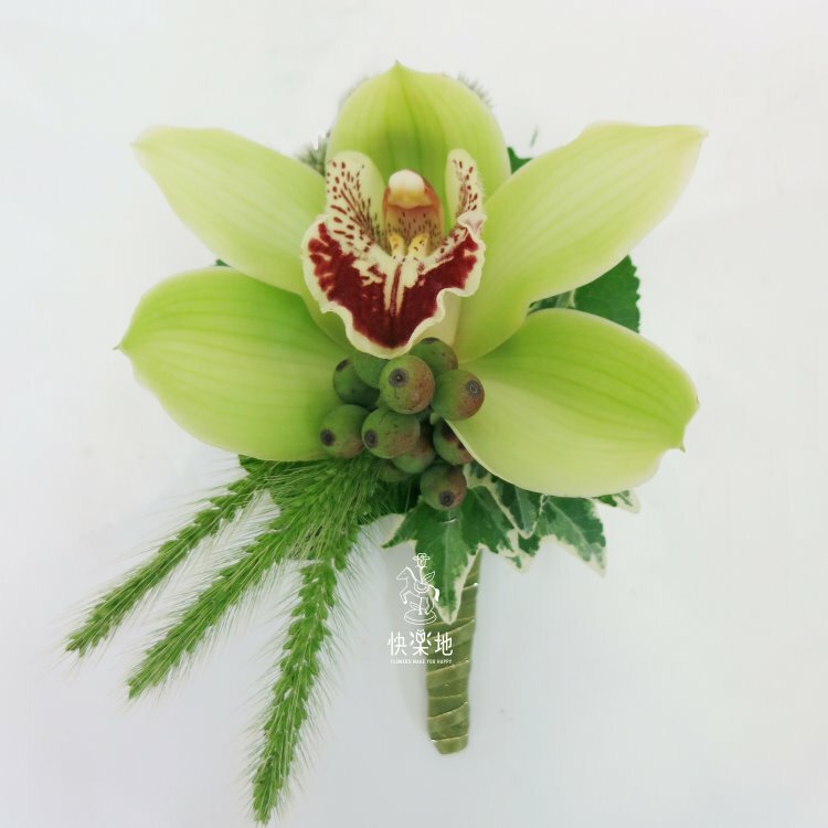 野原✵東亞蘭胸花  AF231205