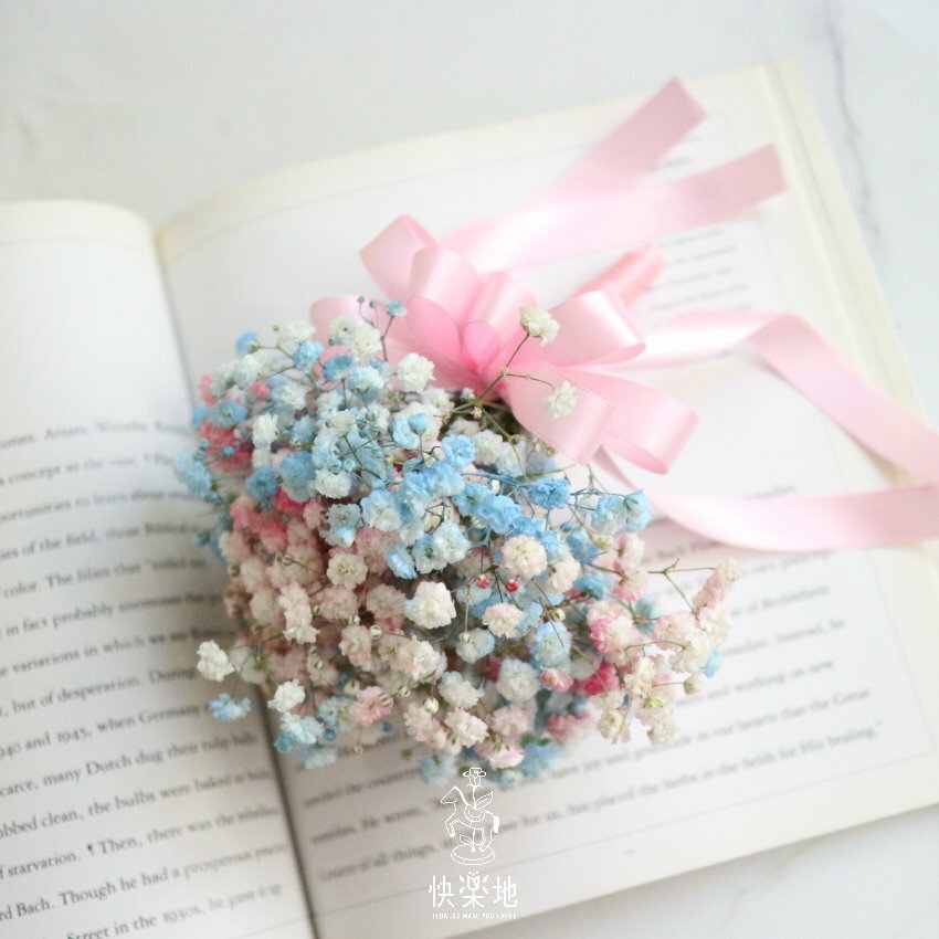 甜蜜✵滿天星胸花  AF231210