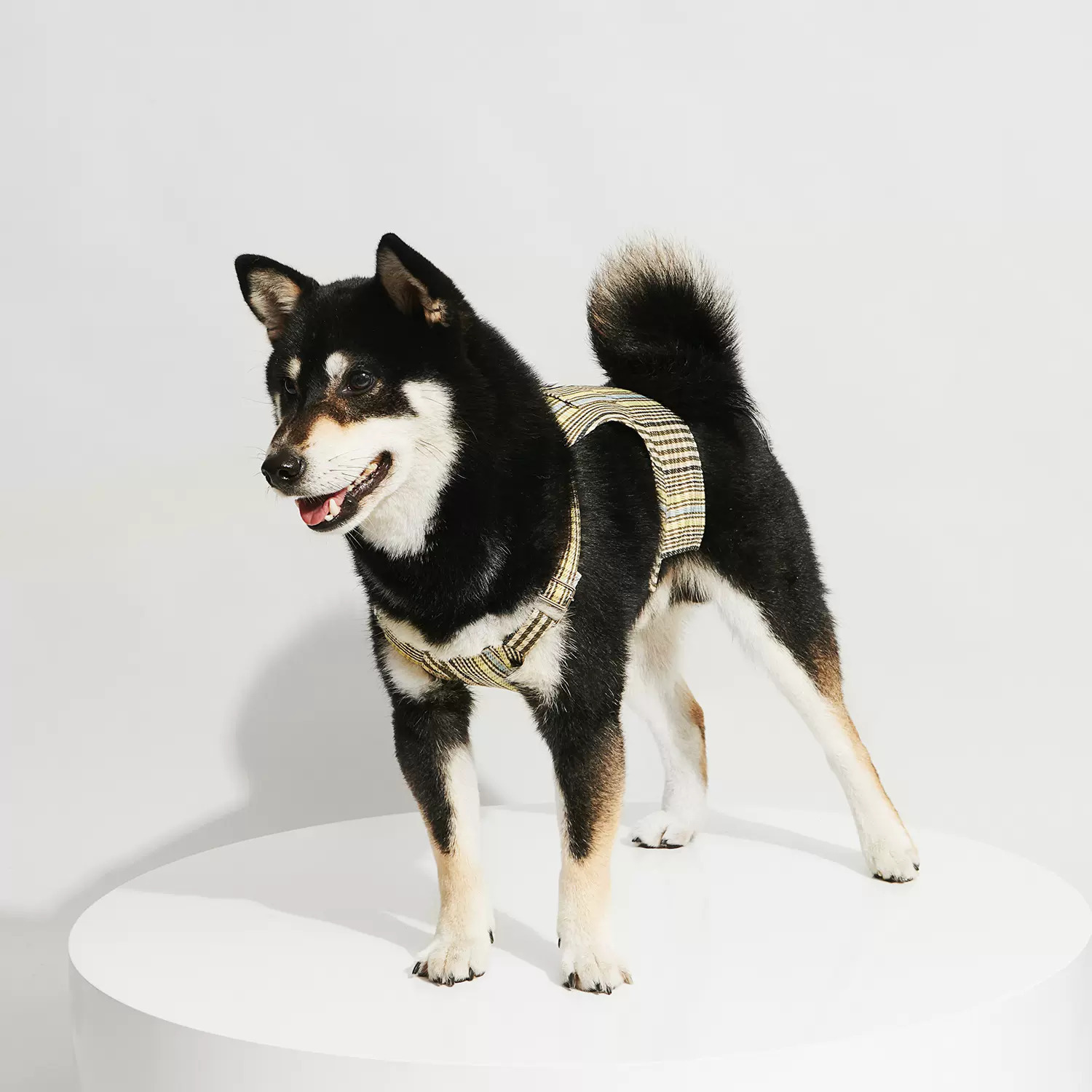 Purrre | 短款格紋吊帶背心