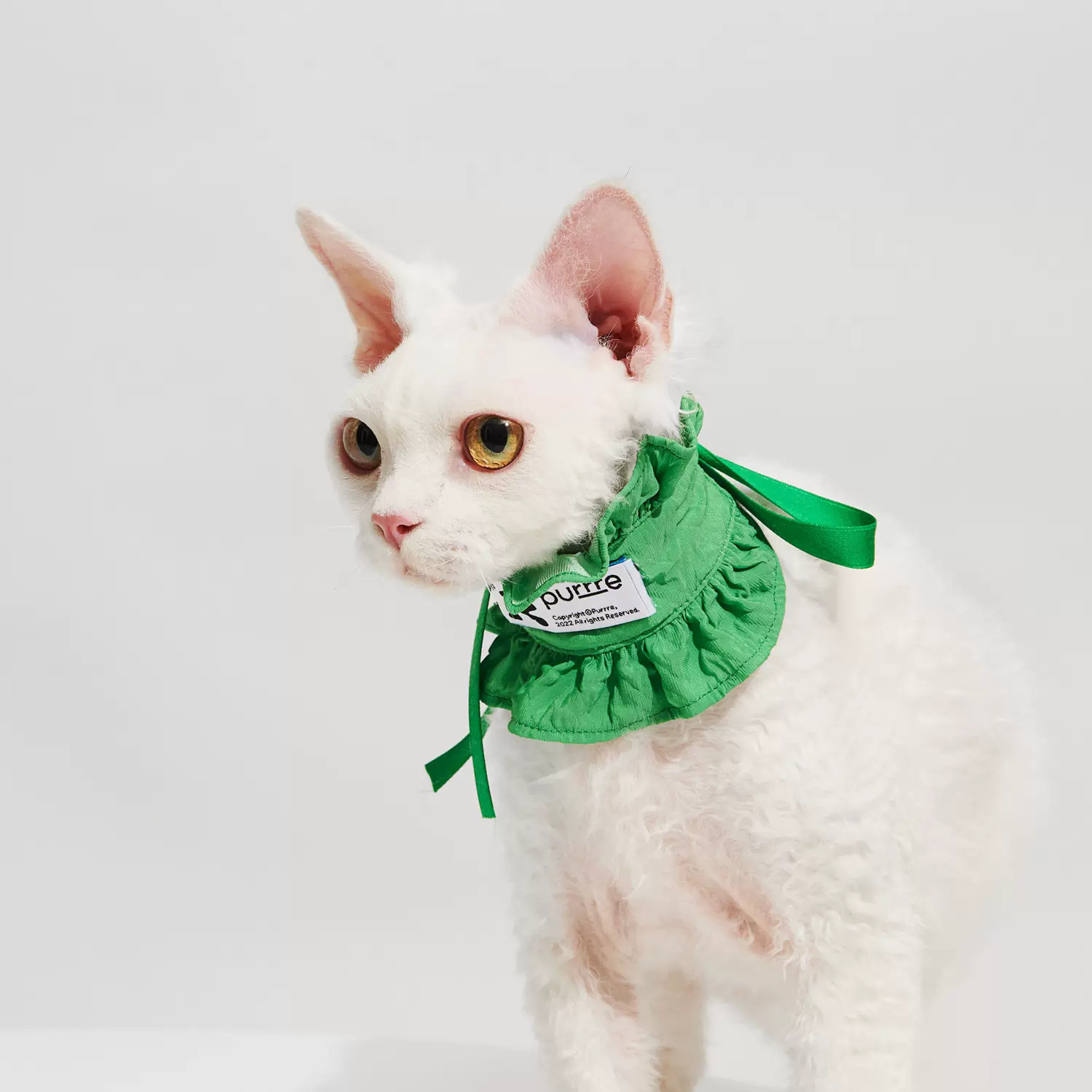 Purrre | 荷葉邊兩用脖圍髮帶(三色)