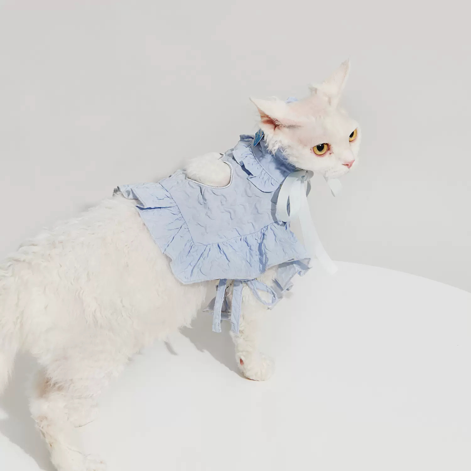 Purrre | 荷葉邊簍空套裝(三色)