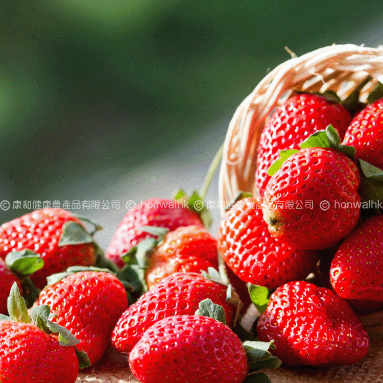 本地有機士多啤梨