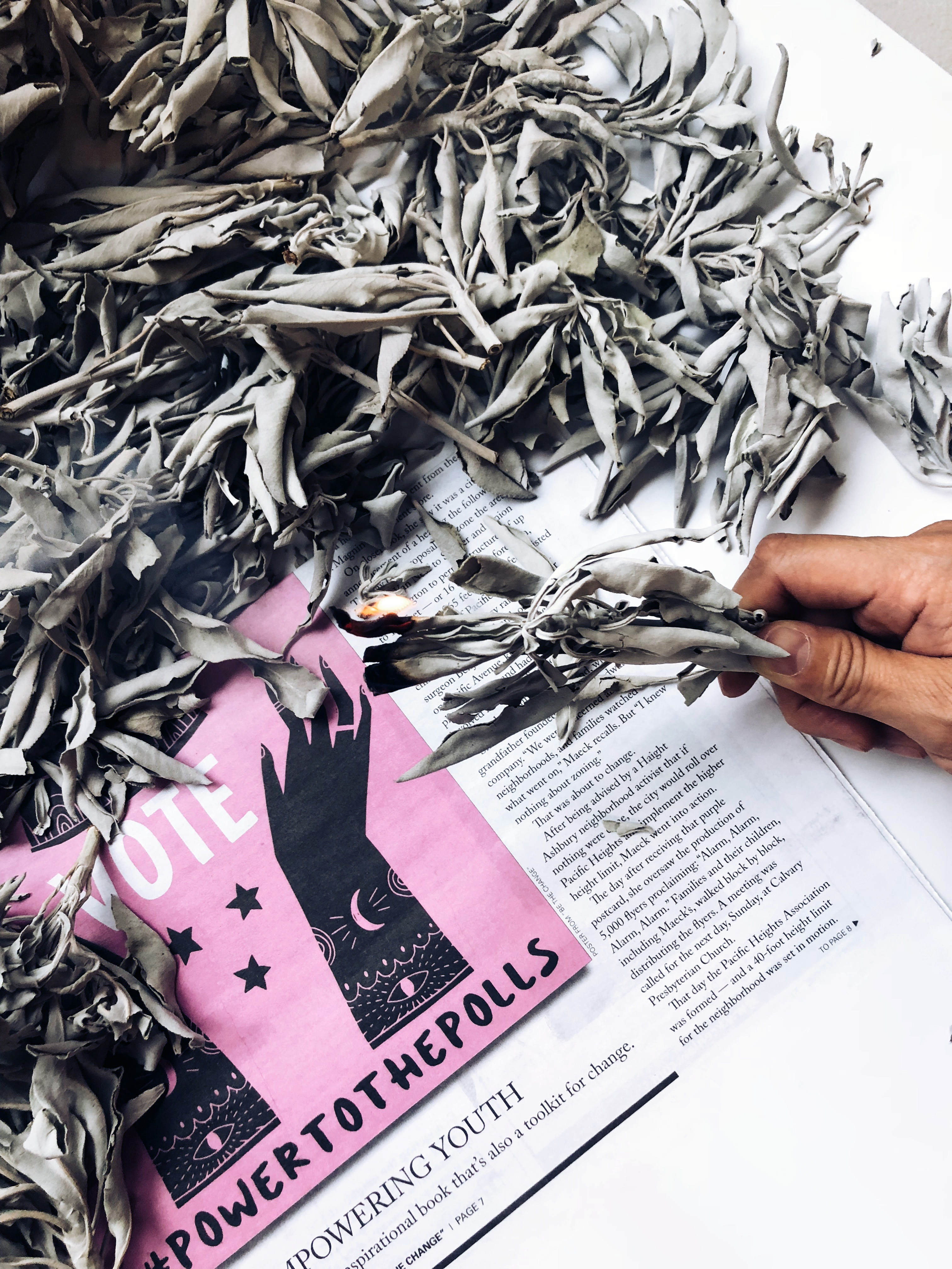 新客特選#1 - 薩滿美洲經典淨化組合 北美香草淨化之王＋南美香木淨化之祖 白色鼠尾草(散裝100g)+印加聖木棍(50g)-光之薩滿