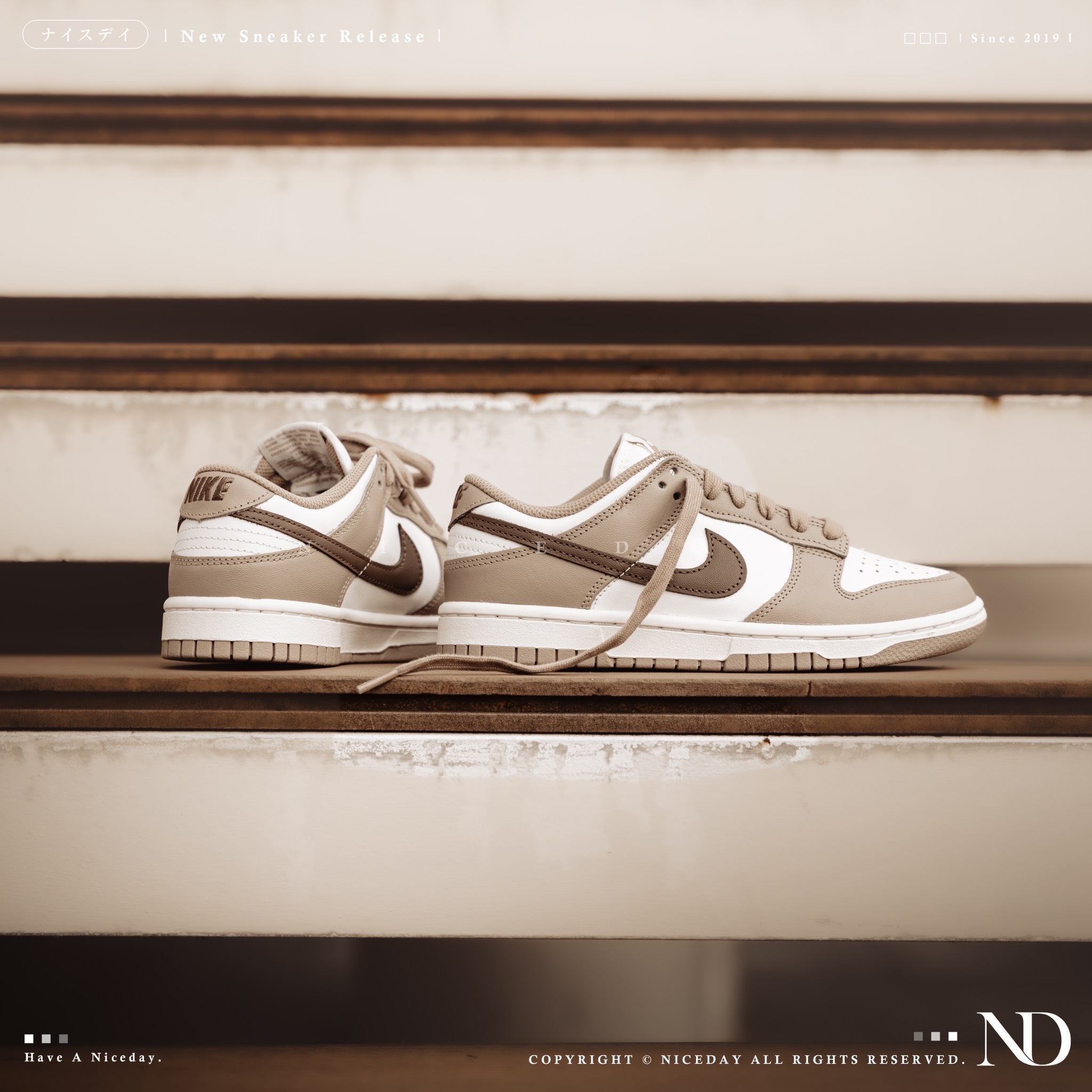 NICEDAY 代購 Nike Dunk Low 可可拿鐵 棕色 咖啡色 白 男女尺寸 女款 DD1503-125