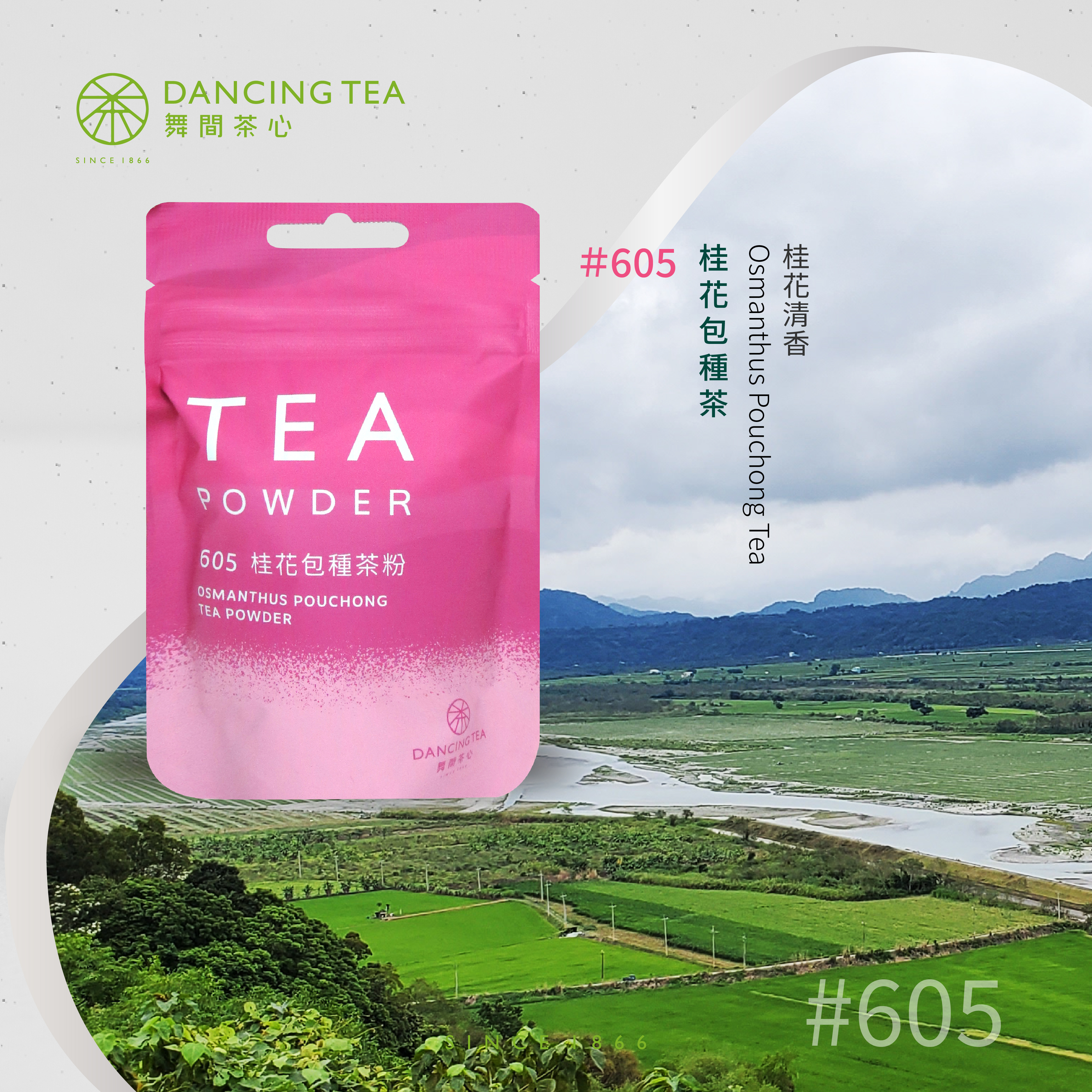 舞間茶心桂花包種茶粉