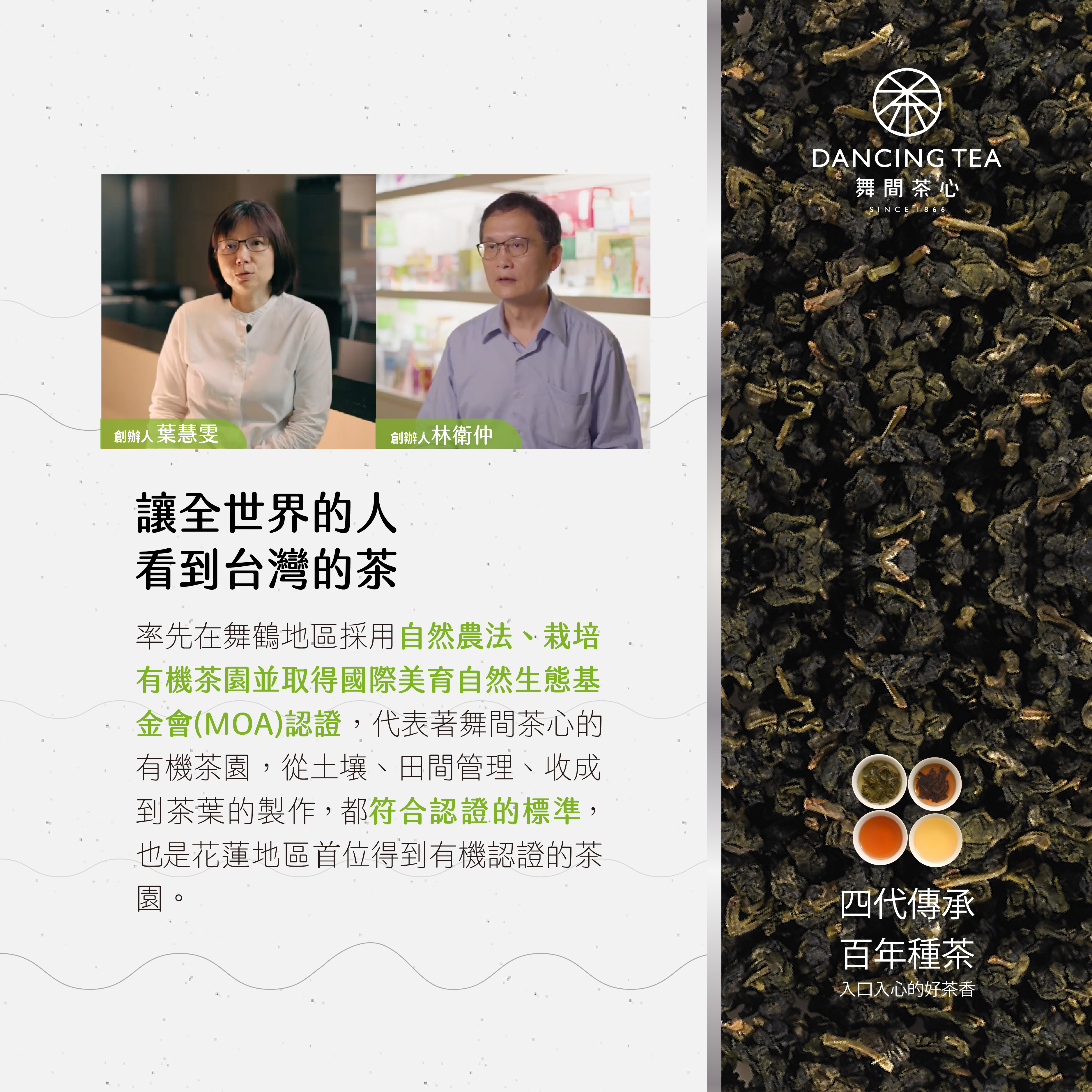 舞間茶心桂花包種茶粉