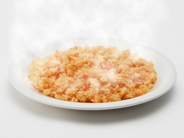 Onisi Japan 日本尾西即食脫水飯 - 印尼炒飯