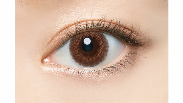 [日拋] AngelColor Bambi Series 1 Day Vintage Bear 彩妝隱形眼鏡｜每盒10片