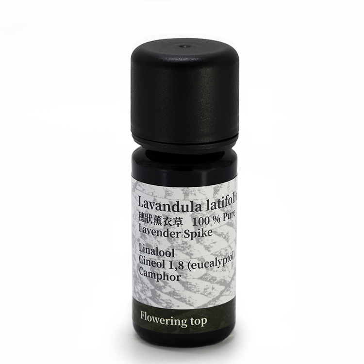 穗狀薰衣草 10ml