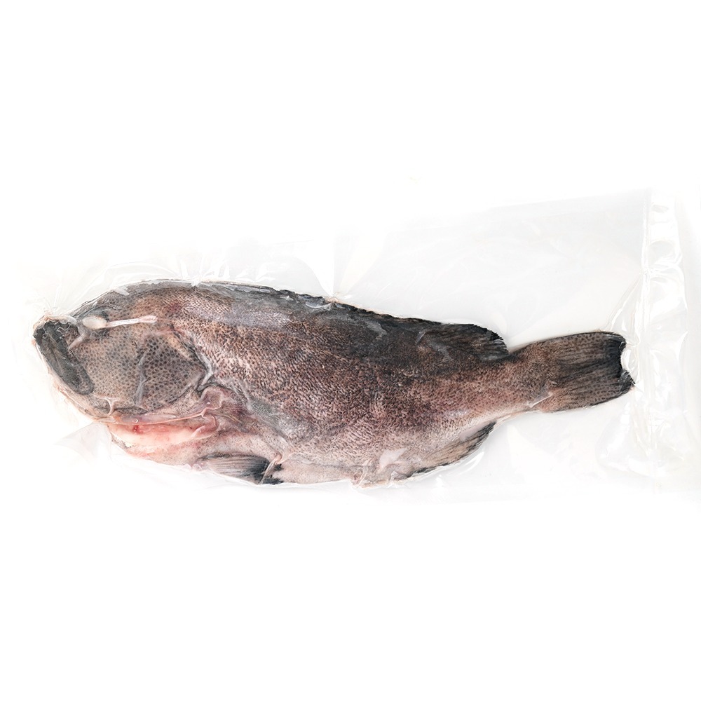 Local IQF Spotfin Coris 1500g