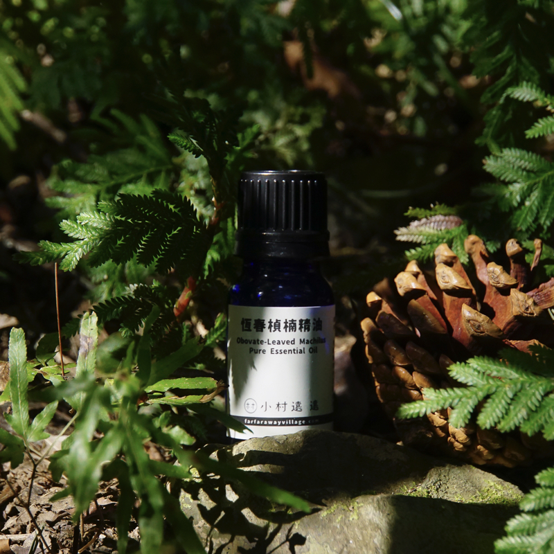 恆春楨楠精油｜台灣特有精油|小村獨家生產