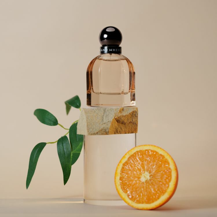 WAW何時何地｜沙龍香水 - 長夜相擁 30ml EMBRACE AT NIGHT