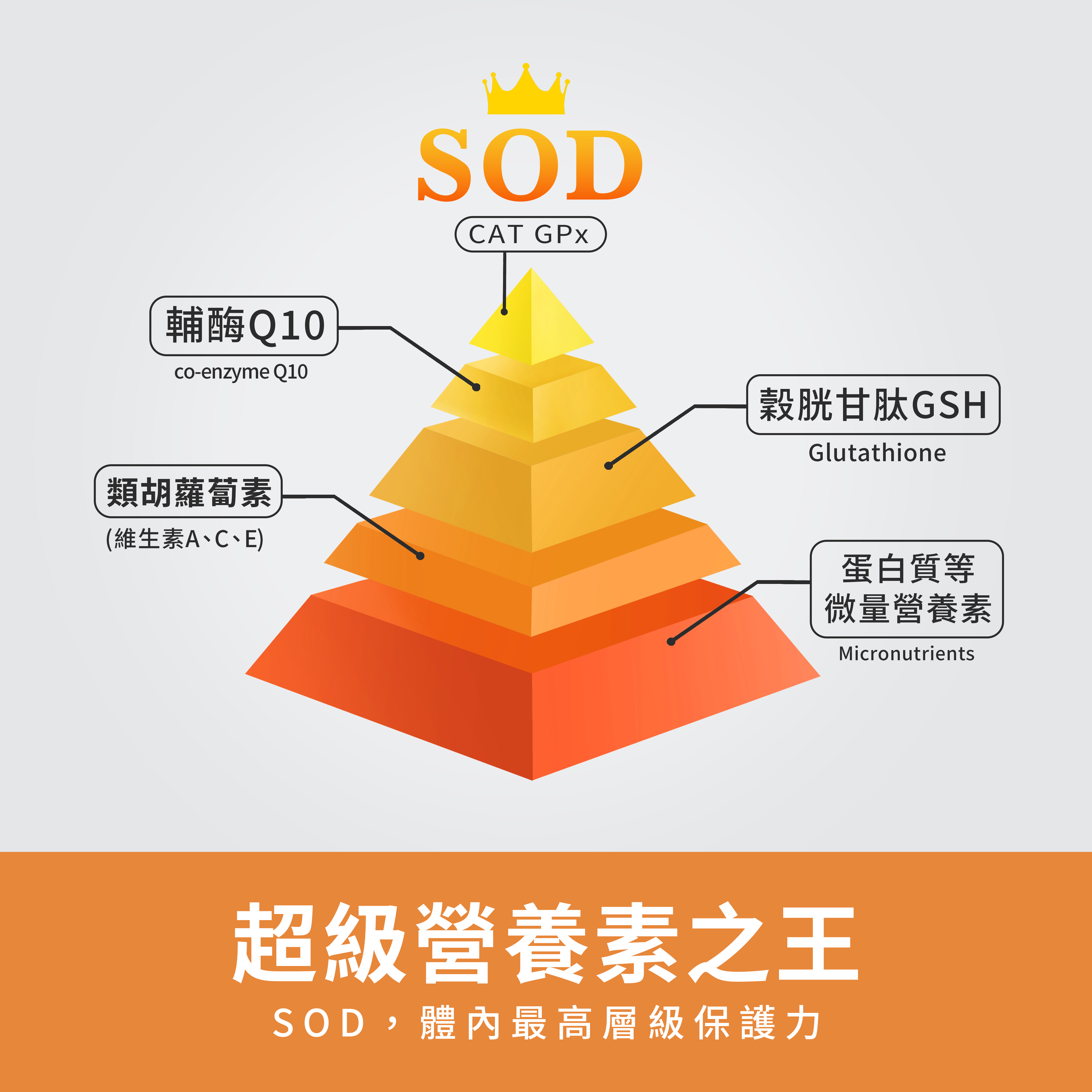 SOD是什麼？一篇了解SOD、SOD-like差異，SOD的好處全掌握！