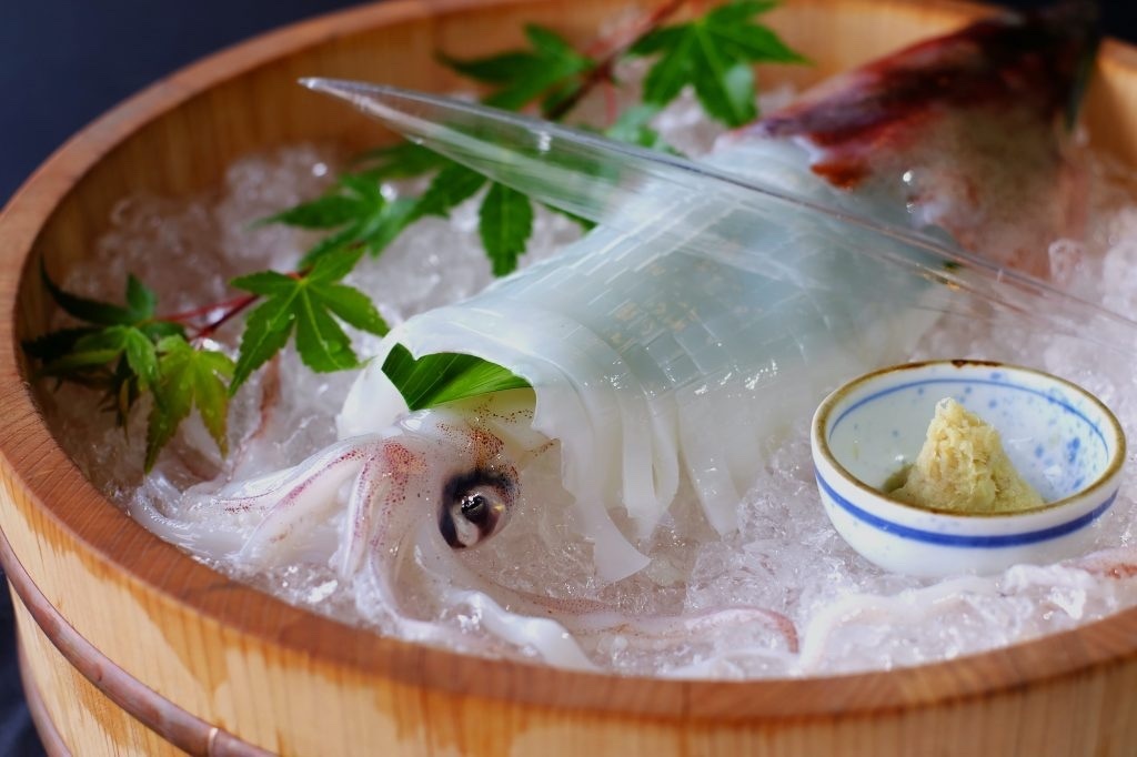 白烏賊 約230-280g/隻