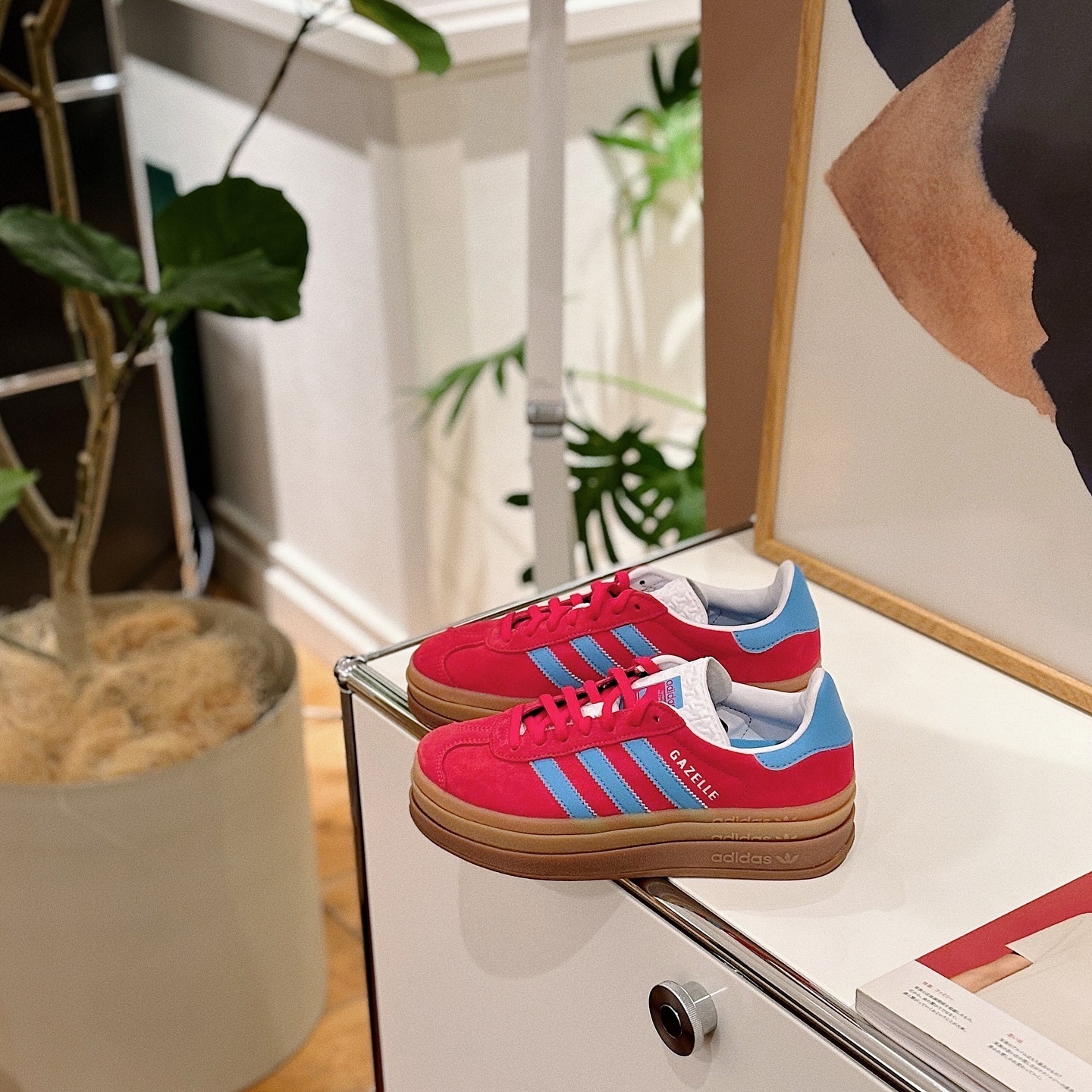Adidas Originals Gazelle Bold Lisa同款 聖誕紅 水藍 結構 厚底 增高 IE0421
