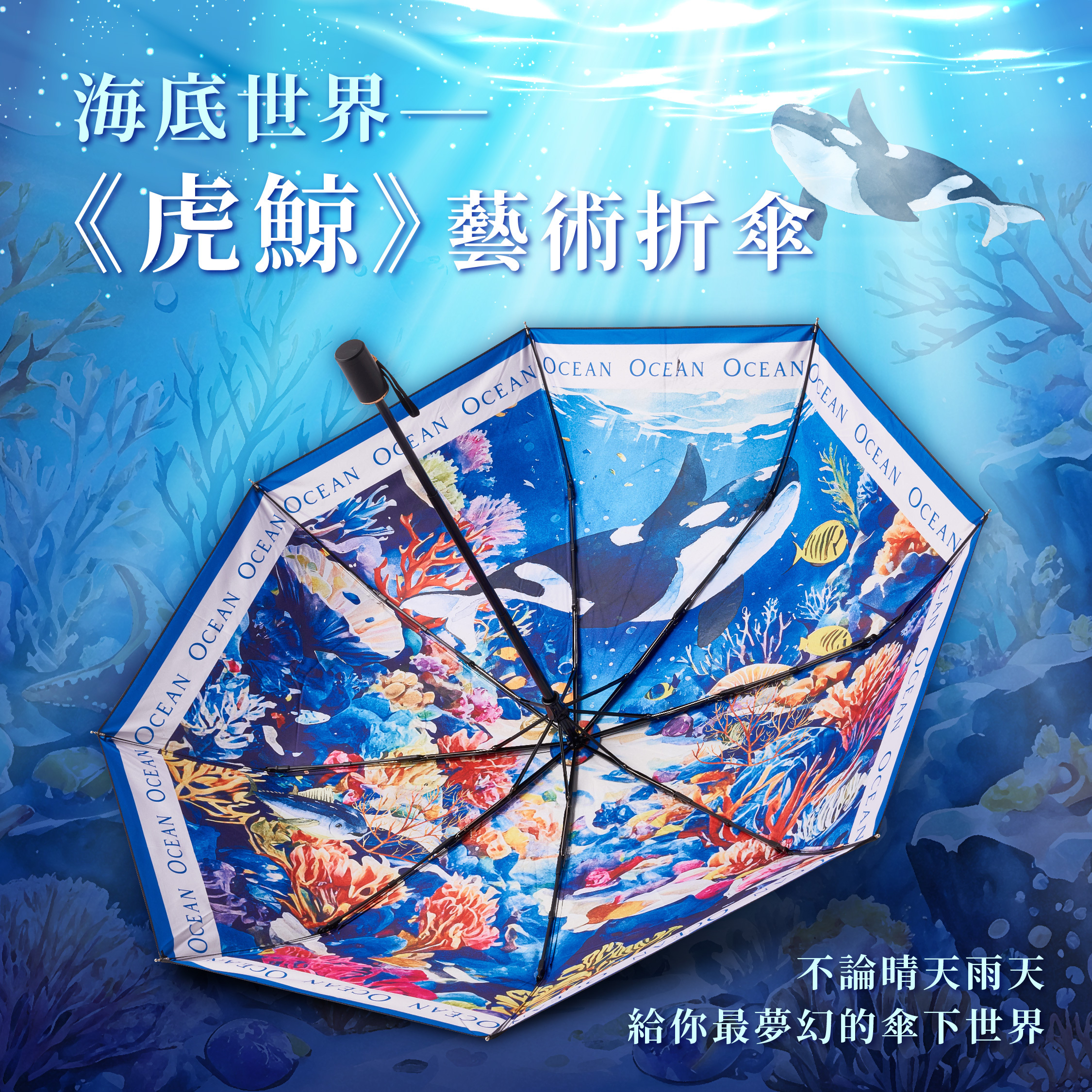 海洋世界折傘｜《虎鯨》