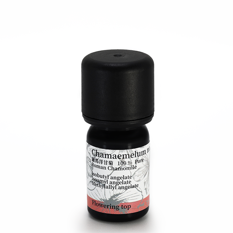 羅馬洋甘菊 5ml