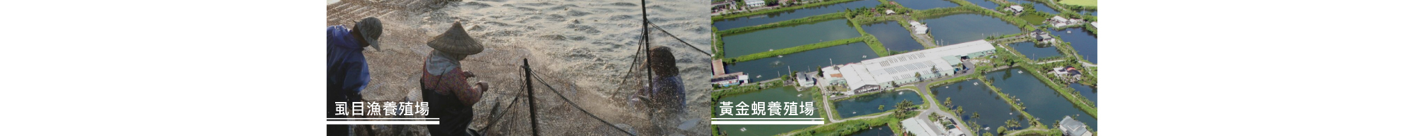 芳茲配合農會的智慧農業4.0家產業計畫，使用【智能化飼養管理系統並啟動碳足跡盤查與減量執行，並組成「淨零碳排計畫」團隊針對芳茂企業、久津蜜、供應商料廠如：雞隻養殖場、虱目漁養殖場、黃金蜆養廠等進行全面碳足跡盤查。