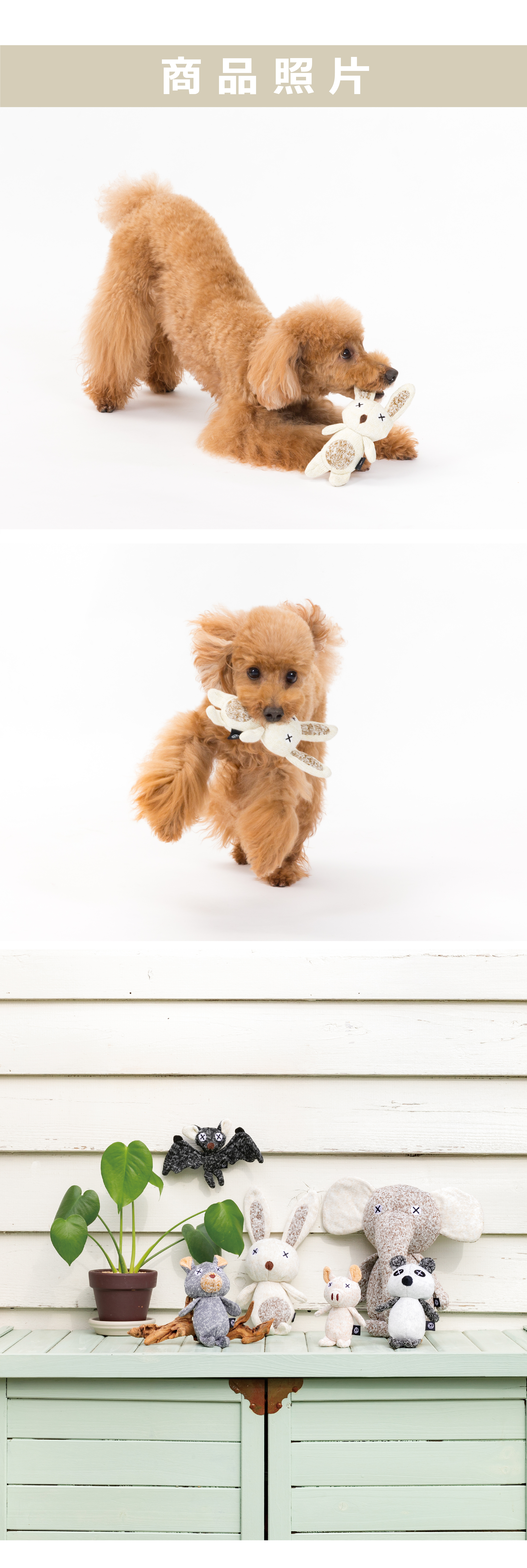 寵物玩具 日本 兔子