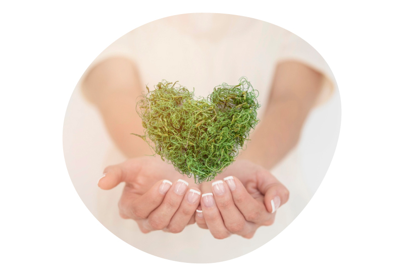 芳茲一路走來的每步堅持及守護，期盼支持著生活每個重要時刻，更透過執行SDGs永續目標及落實ESG永續發展，傳遞更多愛與溫暖到社會的每個角落並為環境盡一份心力。