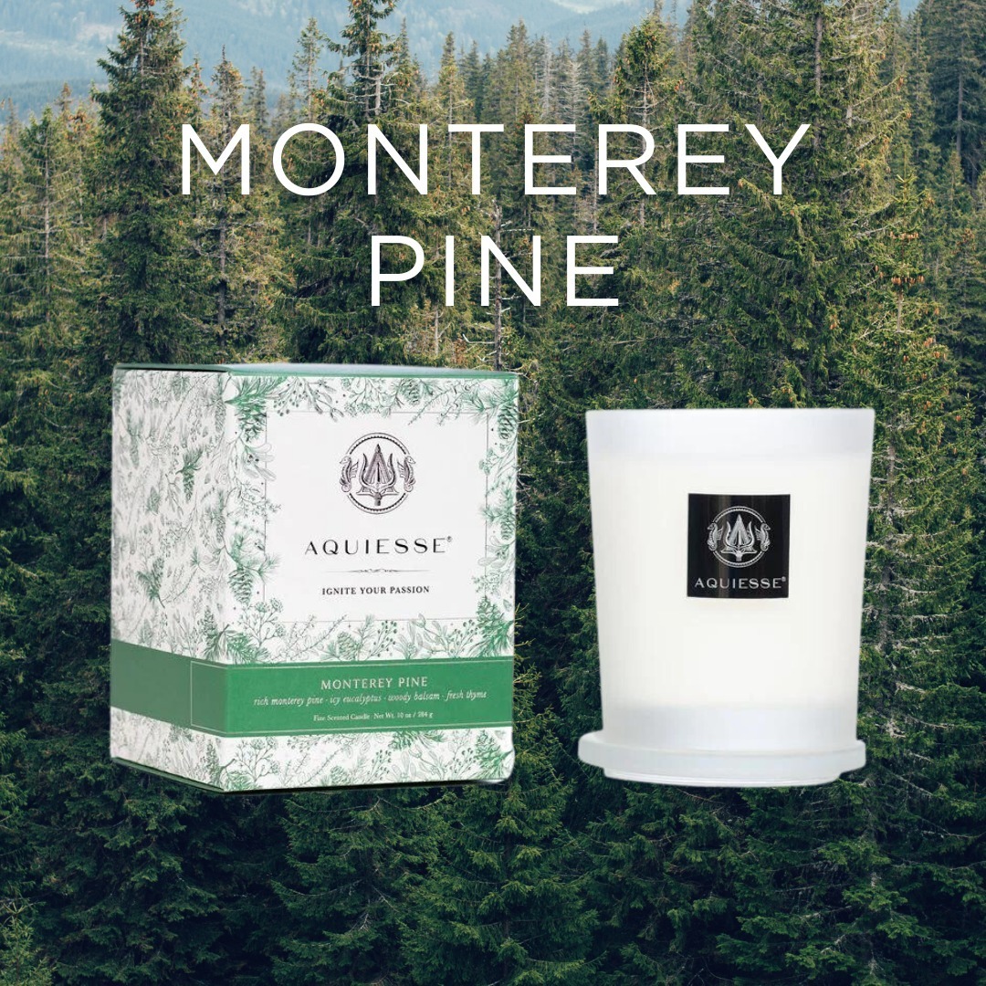 Monterey Pine 蒙特雷松木 香氛蠟燭 - AQUIESSE
