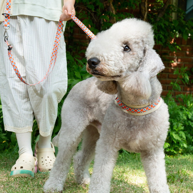 puppygallery｜V型好穿脫胸背（復古小花）