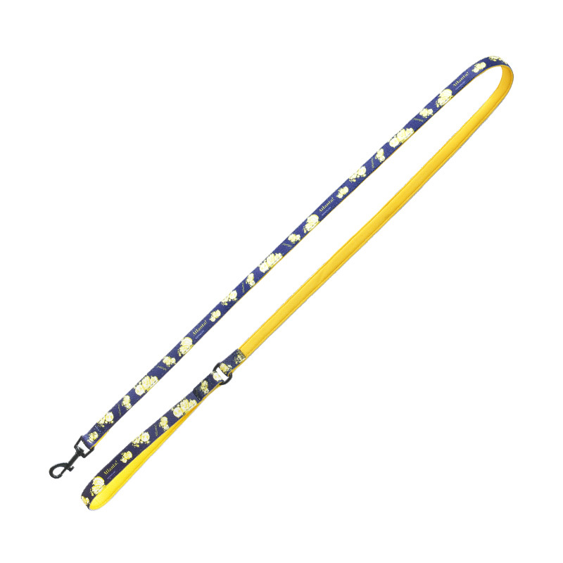 puppygallery｜亞特蘭大牽繩