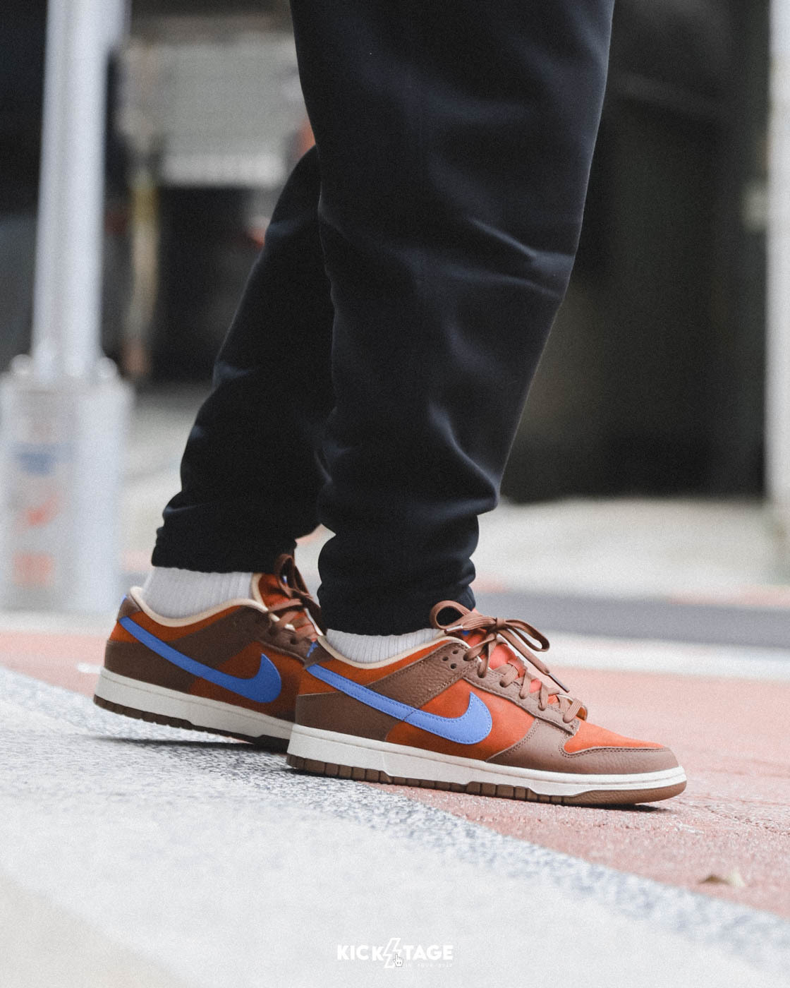 男鞋 NIKE DUNK LOW MARS STONE 磚紅色 火星石 藍勾 低筒 經典 復古 休閒鞋【DR9704-200】