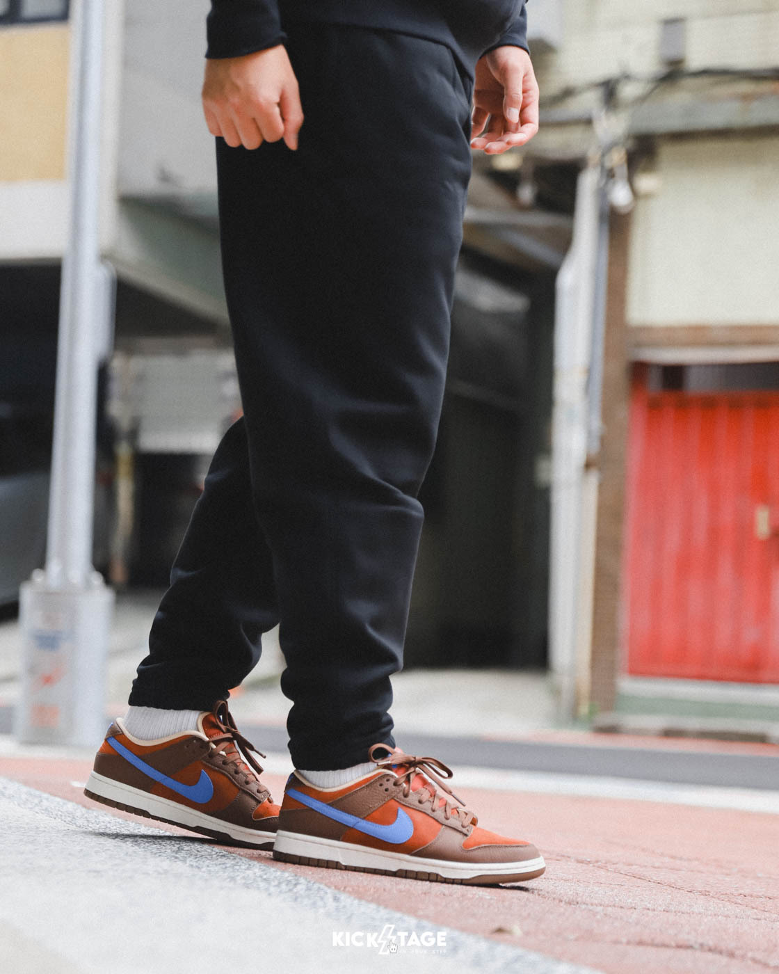 男鞋 NIKE DUNK LOW MARS STONE 磚紅色 火星石 藍勾 低筒 經典 復古 休閒鞋【DR9704-200】