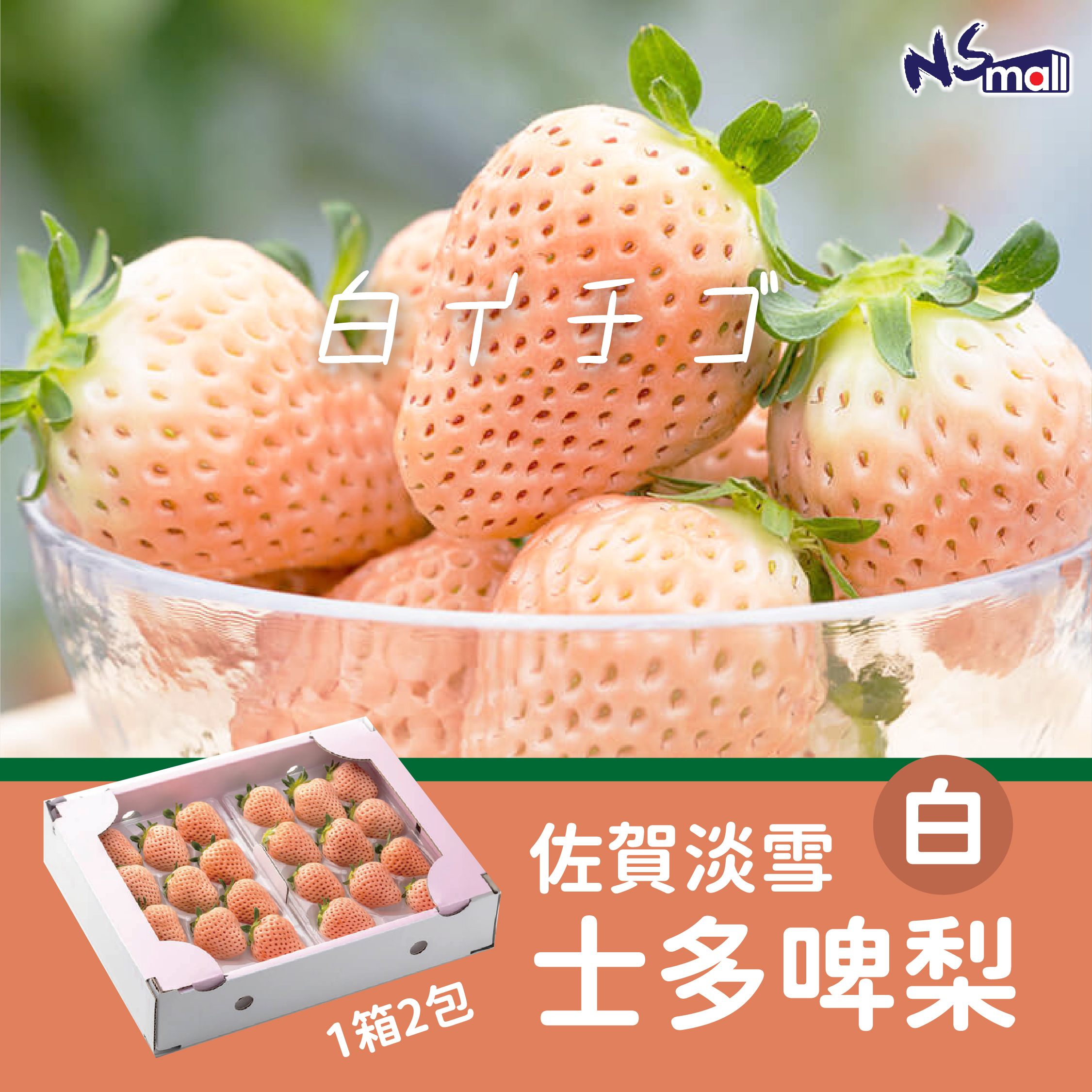 佐賀淡雪 士多啤梨 L/DX 一盒(2包)