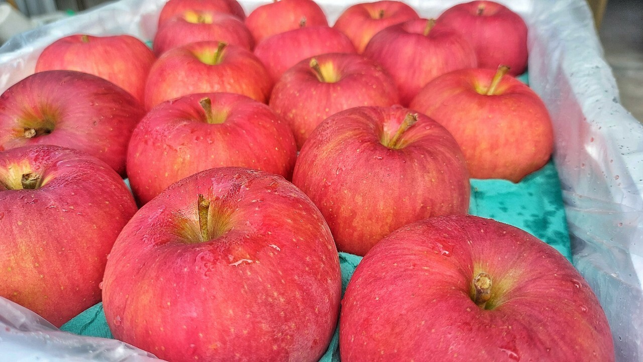 日本紅顏姬蘋果熱量,蘋果功效