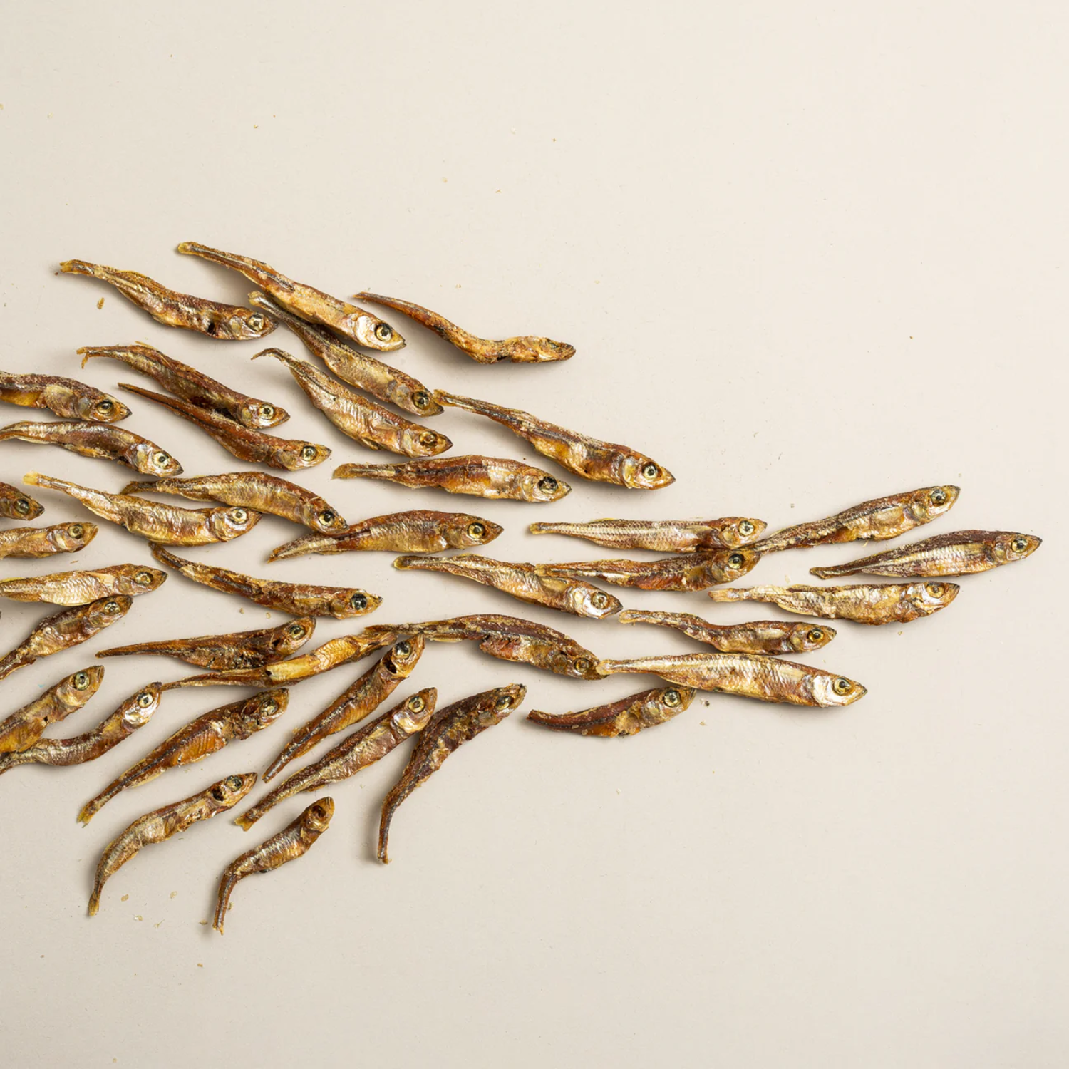 美國Polkadog｜大西洋銀翅小魚（犬貓皆宜）