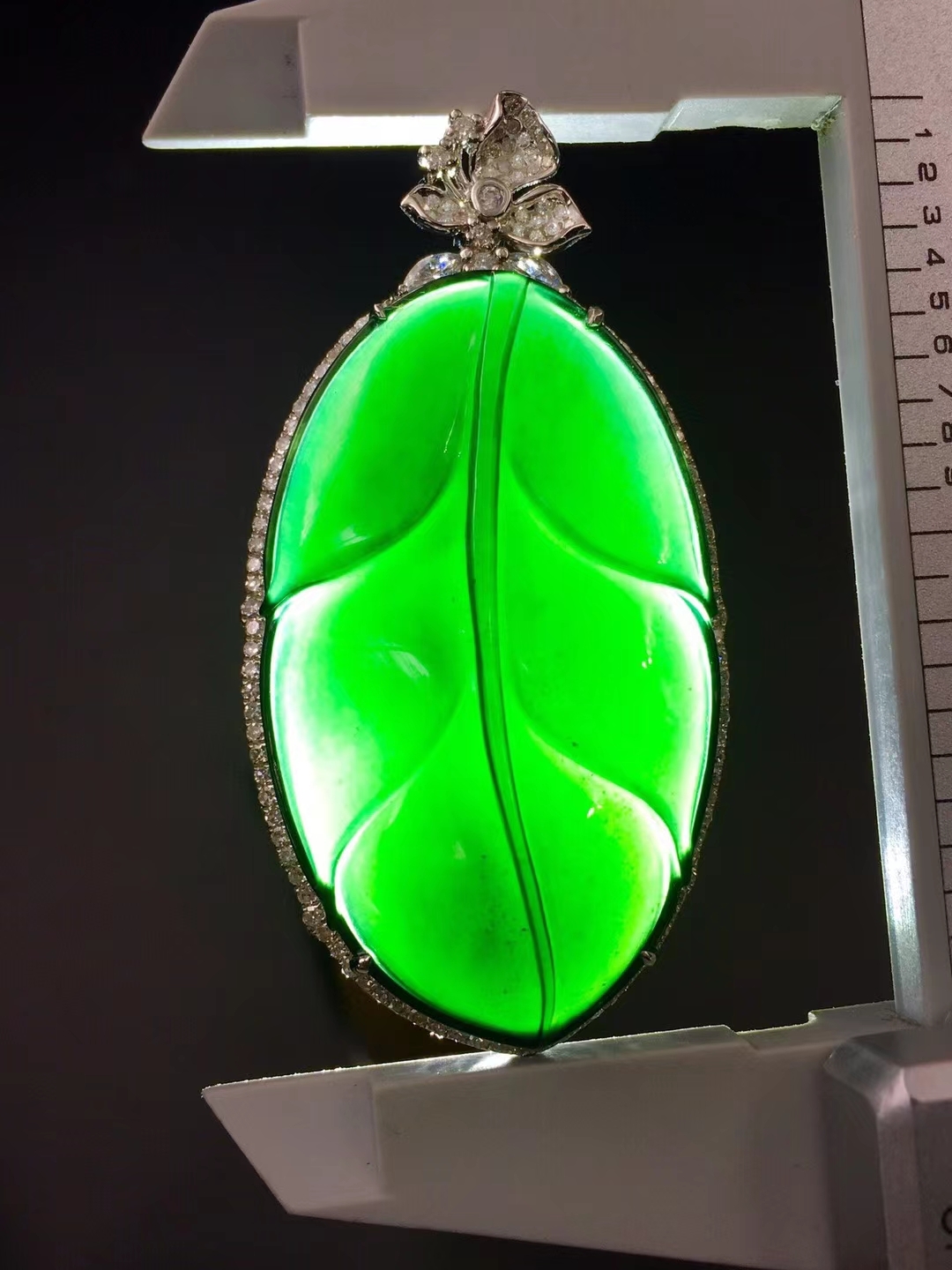 1130561 墨翠金枝玉葉