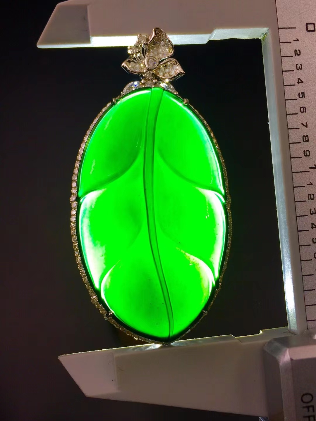 1130561 墨翠金枝玉葉