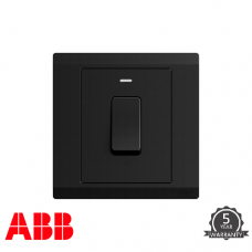 ABB INORA 20A 單位 雙極 開關掣