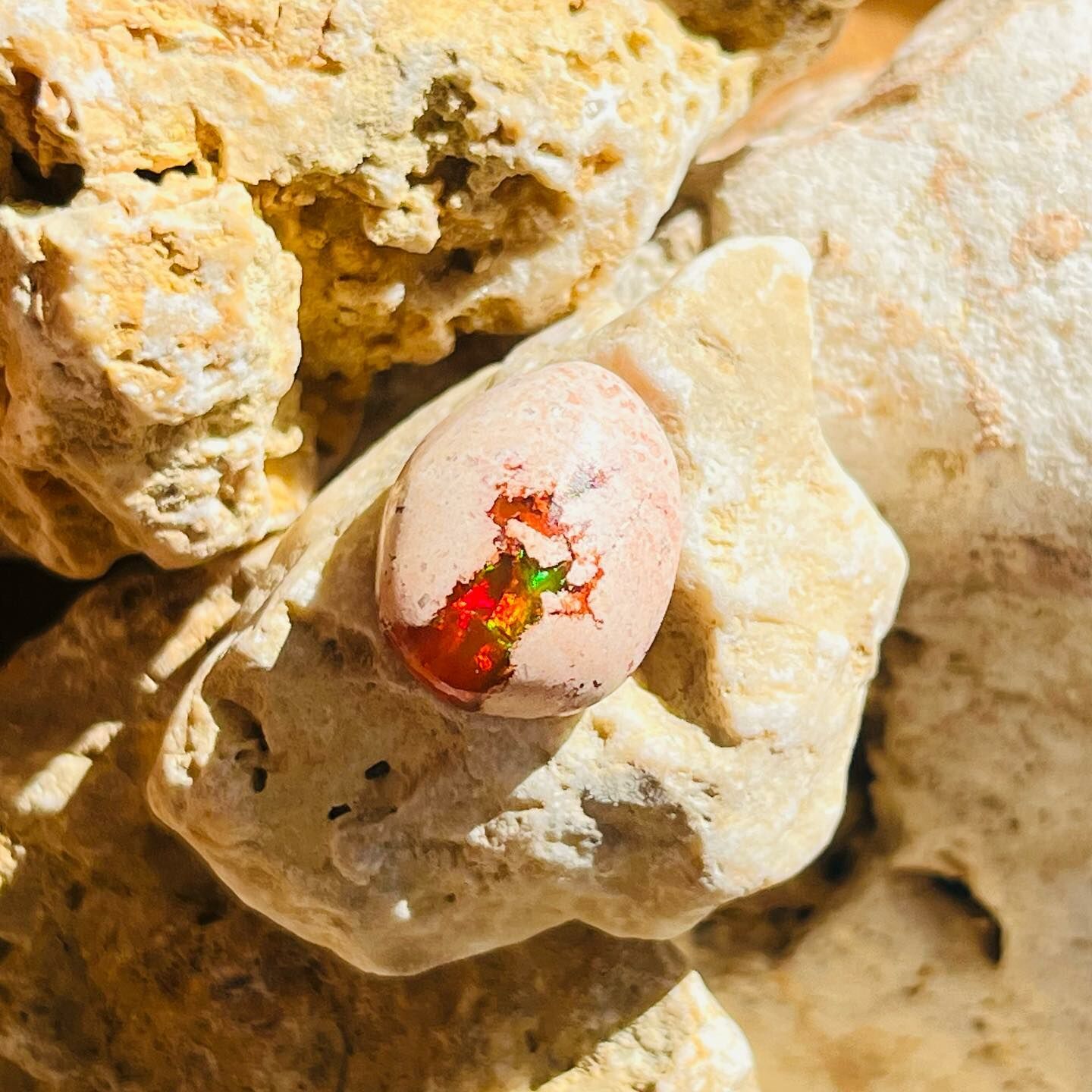 [原石] 墨西哥火蛋白石