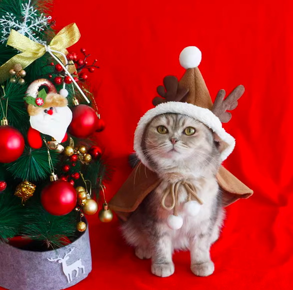 寵物聖誕斗篷-鹿角造型(M)