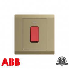 ABB INORA 45A 單位 雙極 開關掣