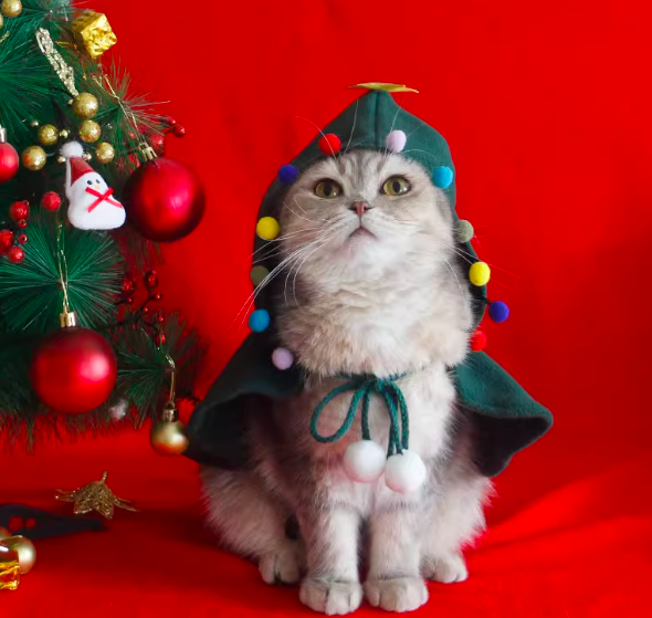 聖誕魔法寵物斗篷-七彩波波 (M)