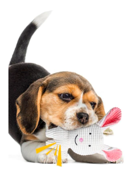 狗狗發聲玩具 (小兔)