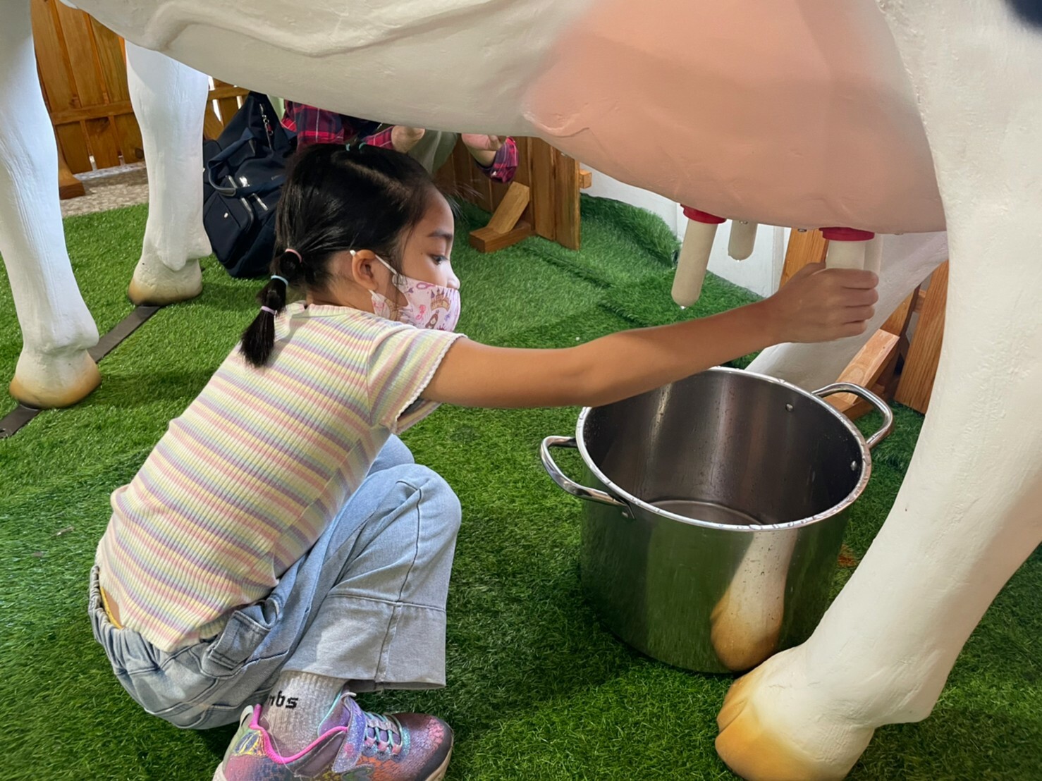 幼稚園小朋友正在體驗擠牛奶，認識鮮奶怎麼來