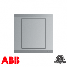 ABB INORA 單位 空白 掣面