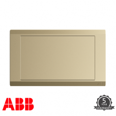 ABB INORA 兩位 空白 掣面