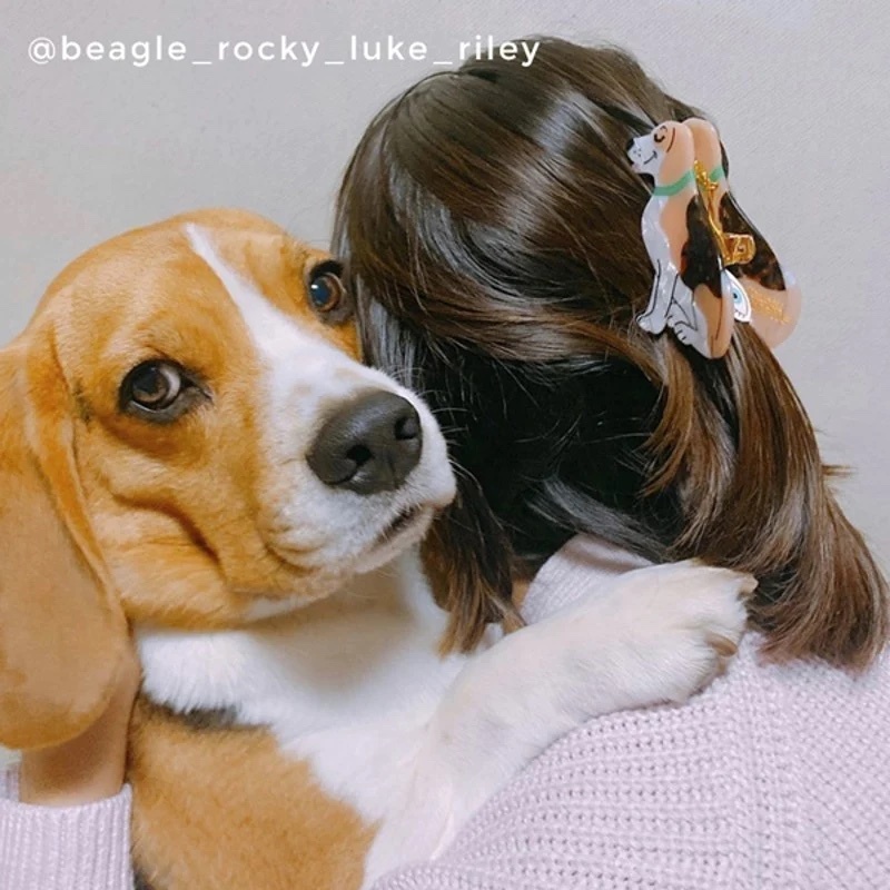 BEAGLE HAIR CLAW｜Coucou Suzette