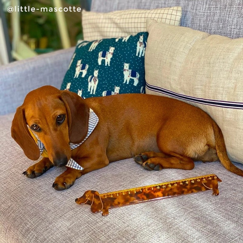 臘腸犬間尺｜Coucou Suzette